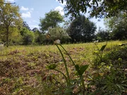 Casa para rehabilitar en Cabañas.
