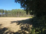 Finca en a sabugeira, begonte, lugo