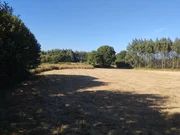 Finca en a sabugeira, begonte, lugo