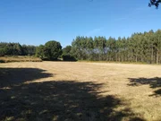 Finca en a sabugeira, begonte, lugo