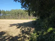 Finca en a sabugeira, begonte, lugo