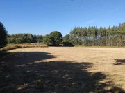 Finca en a sabugeira, begonte, lugo