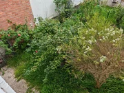 Casa con jardín y garaje en porta nova, ferrol