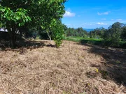 Casa con finca en Brión, Ferrol