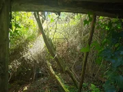 Casa para rehabilitar en San Sadurniño.