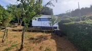 Fin de semana en Penencia, Doniños