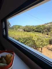 Fin de semana en Penencia, Doniños