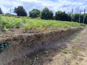 Terreno edificable en Castro, Narón