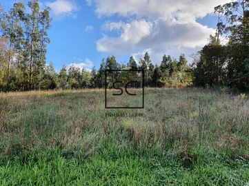 Casa con finca en san saturniño