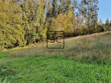 Casa con finca en san saturniño