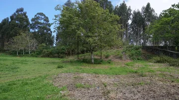 Casa de piedra para reforma integral con gran finca