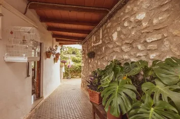 Finca Rústica En Venta En Carrre De Vela S/n