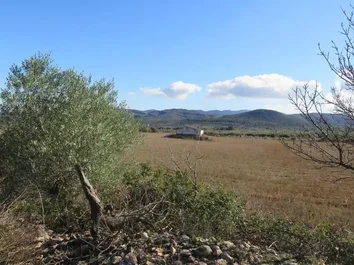 Finca Rústica En Venta En Godall