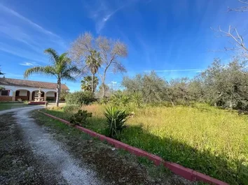 Casa O Chalet Independiente En Venta En Bollullos De La Mitacion