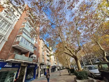 Piso En Venta En Paseo De Zorrilla