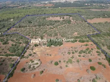 Finca Rústica En Venta En Llubi