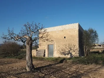 Finca Rústica En Venta En Diseminado Sector Num 1, 123