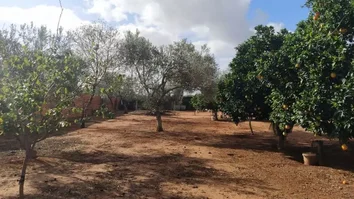 Finca Rústica En Venta En Molinos De Maestre S/n