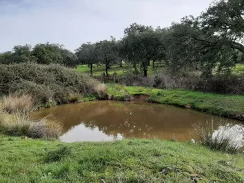 Finca Rústica En Venta En Valdesalor-Rincón De Ballesteros