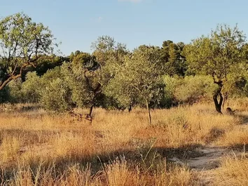 Cortijo en venta en Pobla de Ciervoles s/n