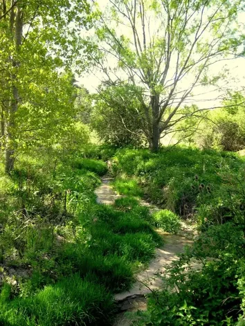 Finca rústica en venta en Villacastin