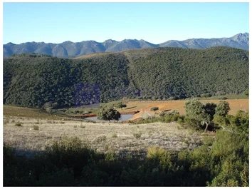 Finca Rústica En Venta En Navalmoral De La Mata