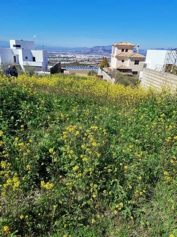 Parcela/Finca En Venta/Alquiler En Jun,  Granada  CP 18213