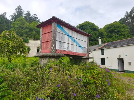 Casa de Piedra con Hórreo y Finca en San Sandurniño