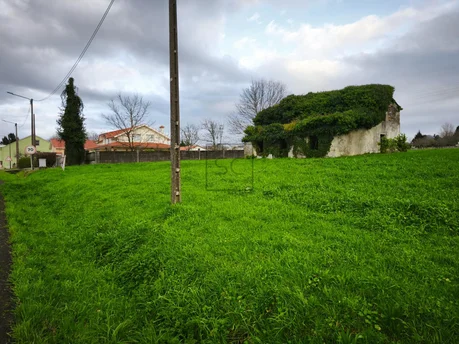 Finca edificable, O Feal, Narón.