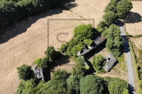 Casa para rehabilitar con gran finca en Begonte.