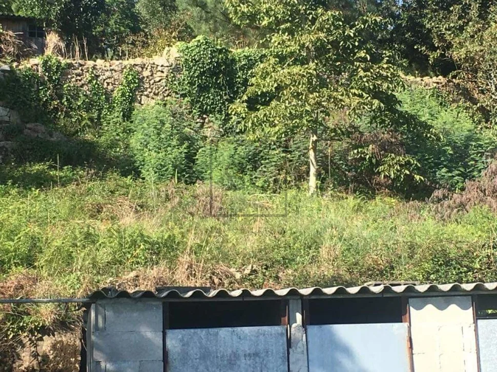 Casas de piedra en la graña, ferrol