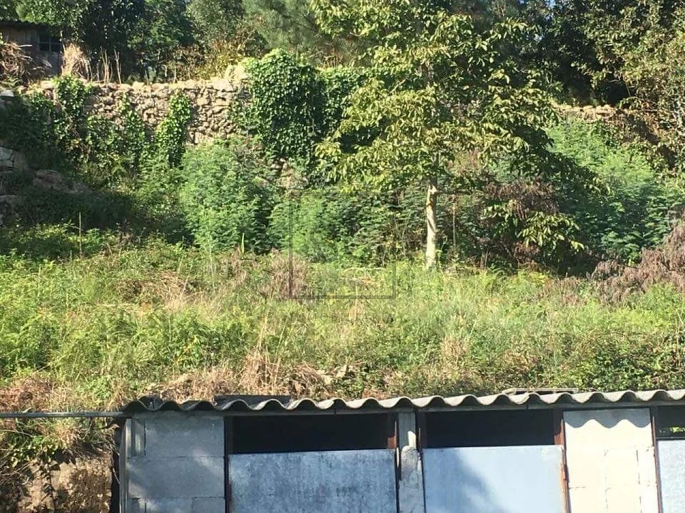 Casas de Piedra en la Graña, Ferrol