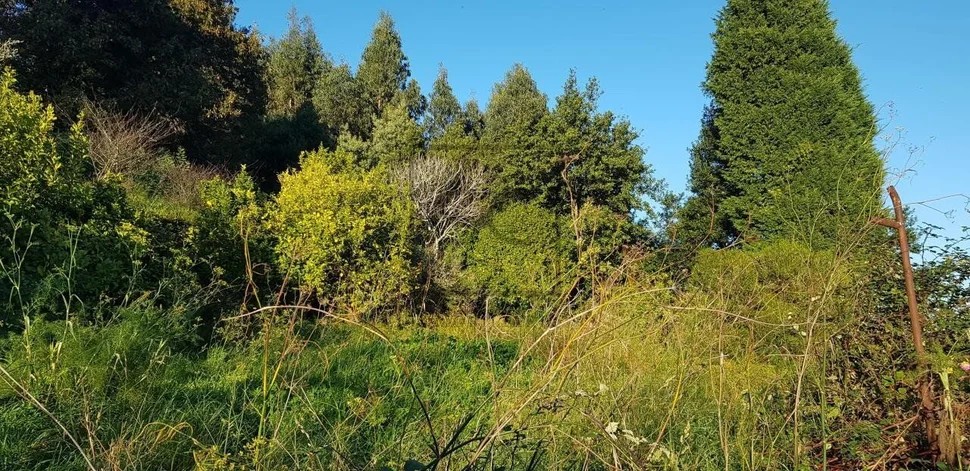 Casas de piedra en la graña, ferrol