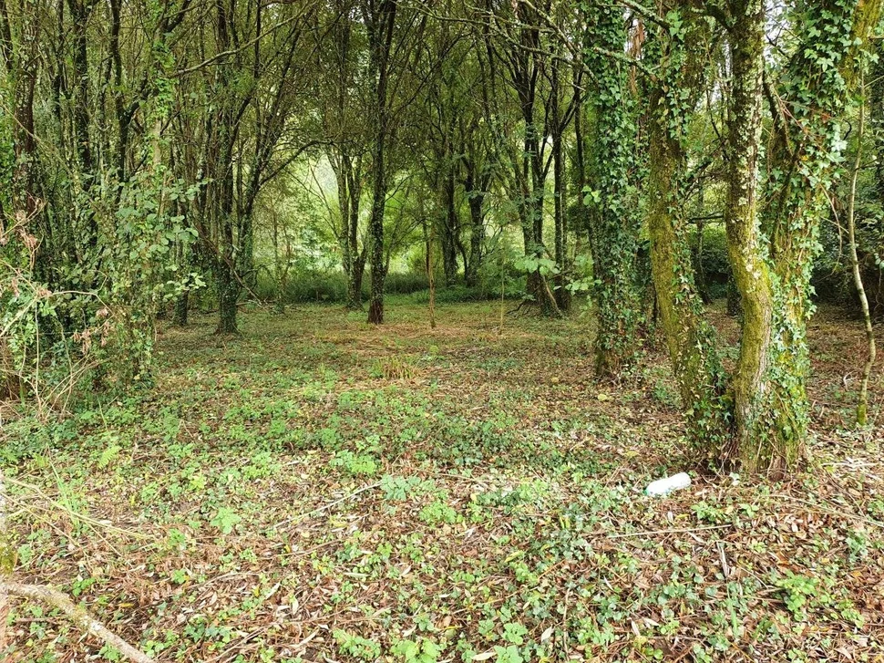 Finca en venta en presa del rey, narón