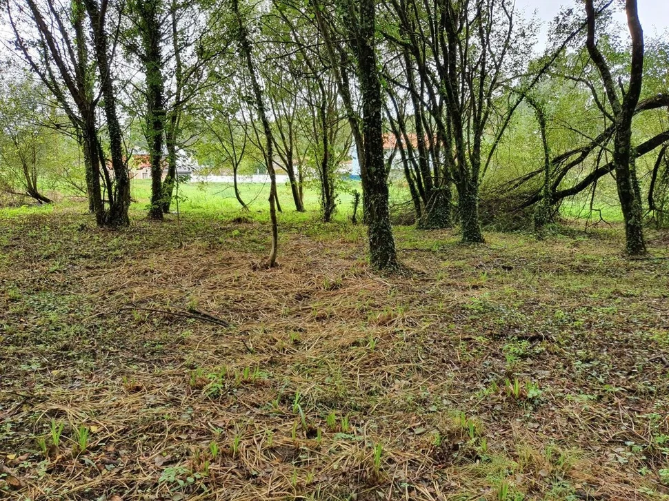 Finca en venta en presa del rey, narón