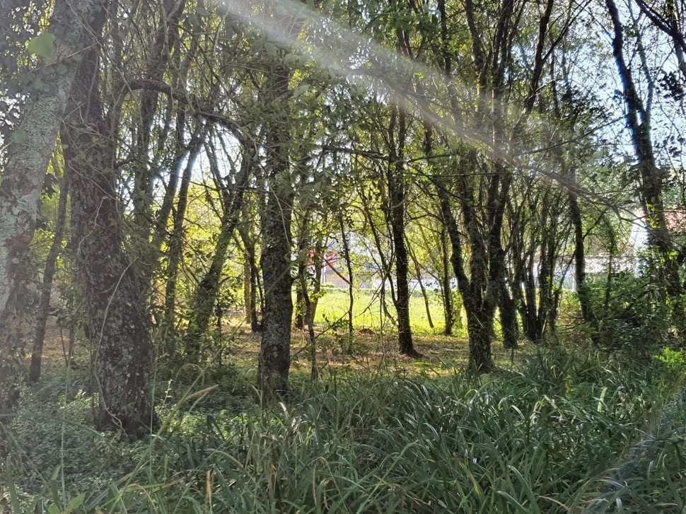 Finca en venta en presa del rey, narón