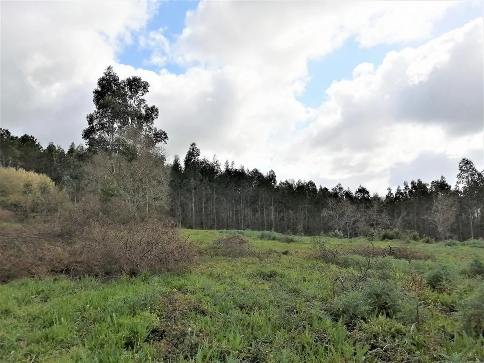 Casa de piedra para rehabilitar en narahío, san sadurniño