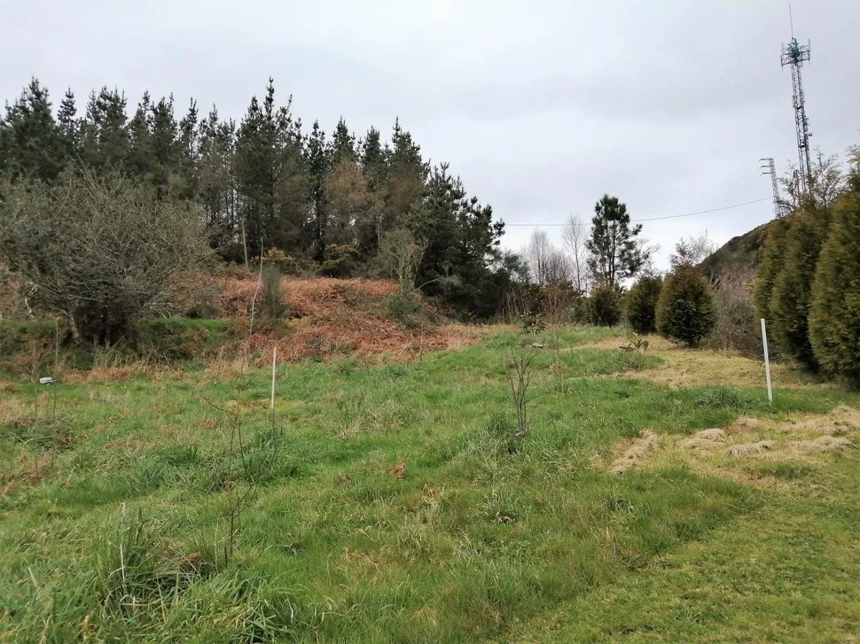 Casa de piedra para restaurar y con finca en san sadurnino, san sadurniño