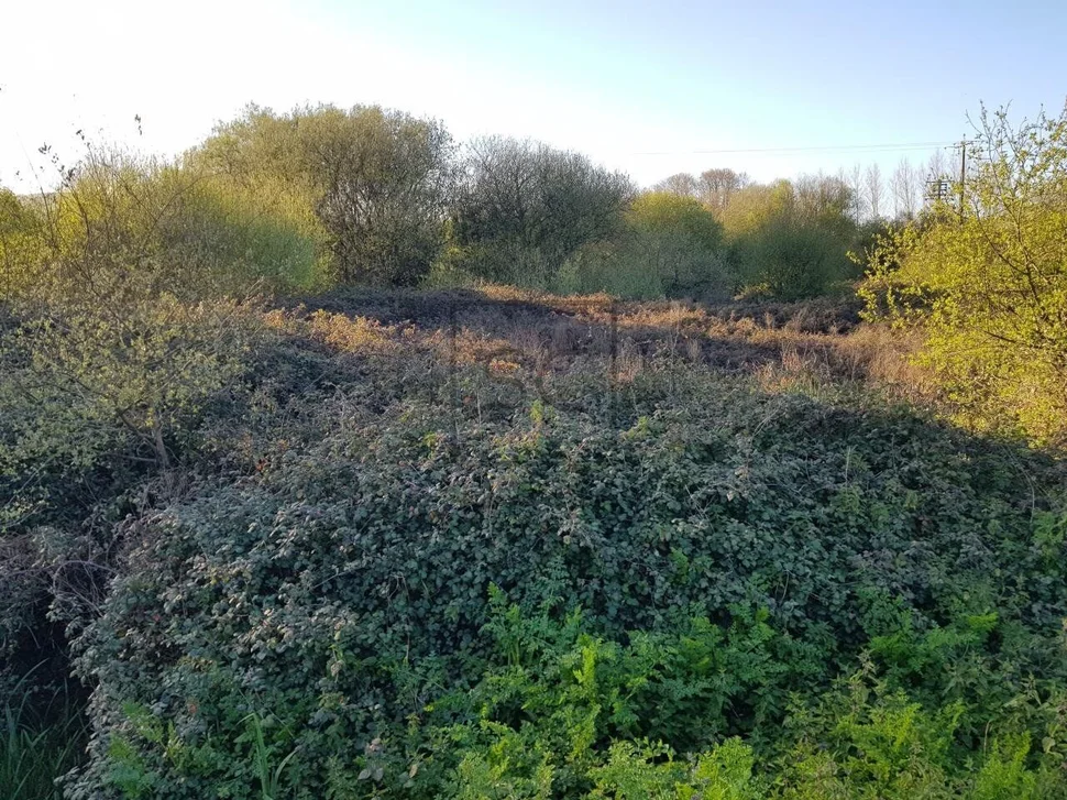 Finca rústica en el lago, valdoviño