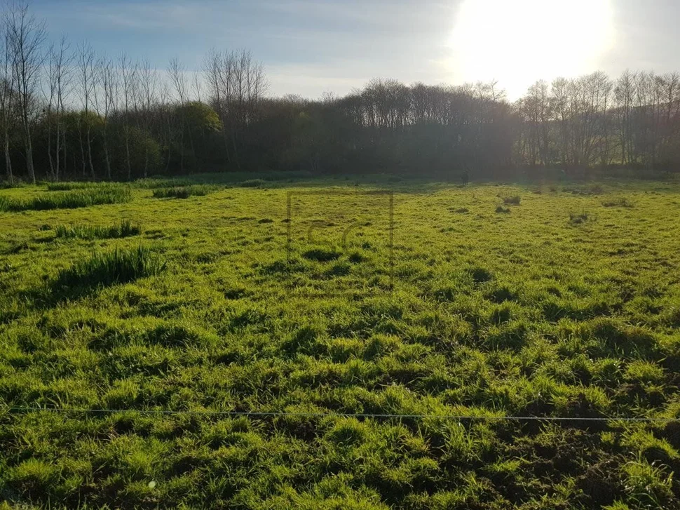 Finca rústica en el lago, valdoviño