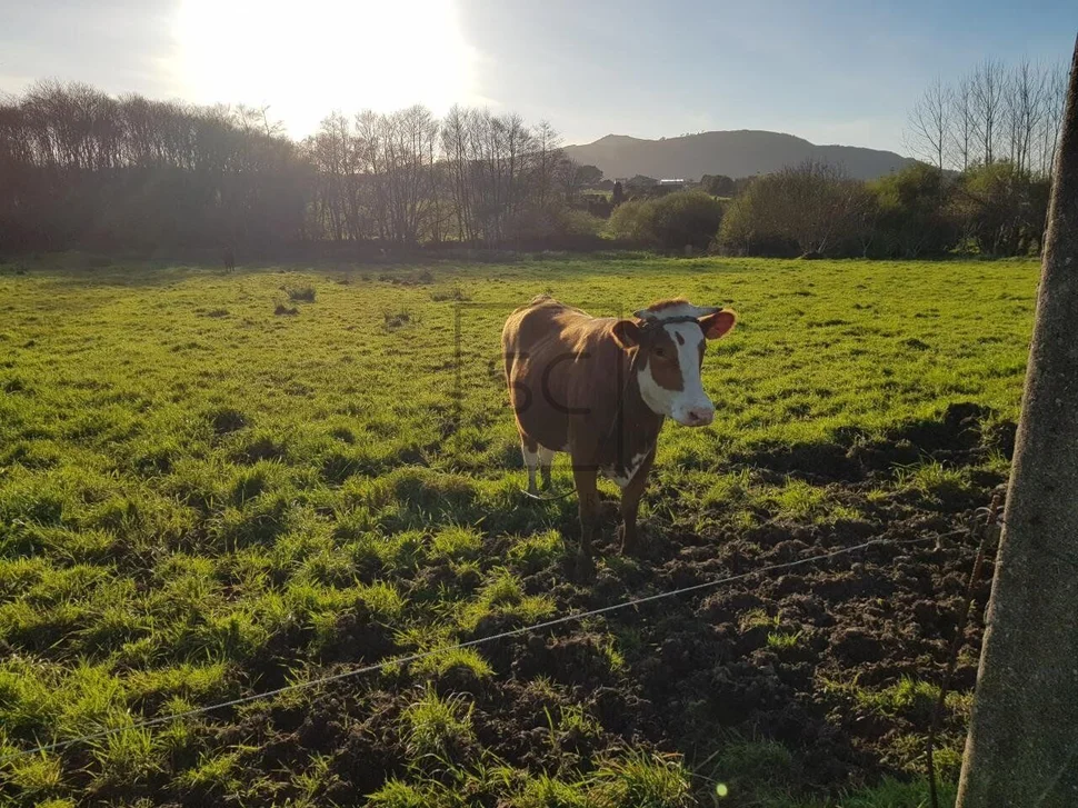 Finca rústica en el lago, valdoviño