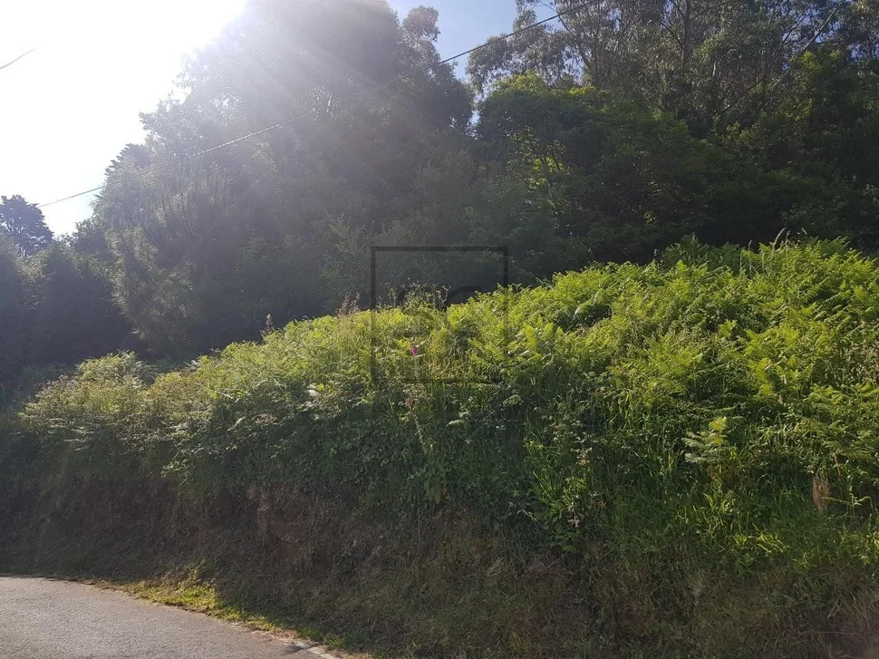 Casa de piedra y finca en pazos, neda