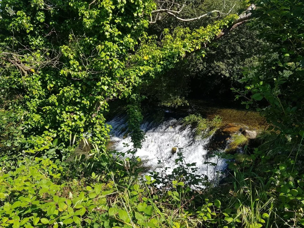 Casa de piedra y finca en pazos, neda