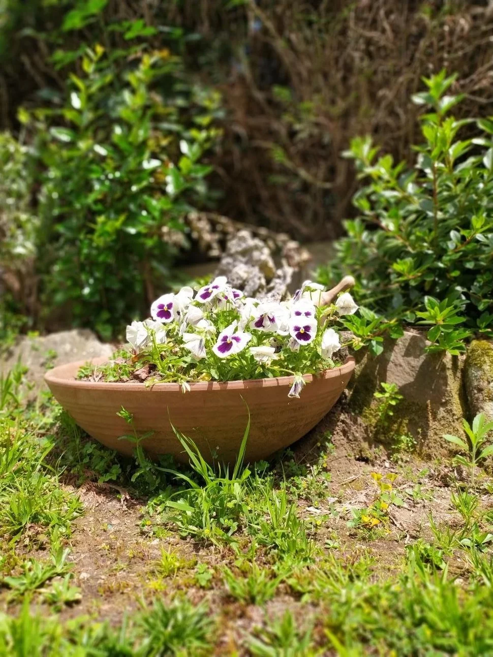 Se Vende Casa con Piscina y Jardín en Fene, Fene