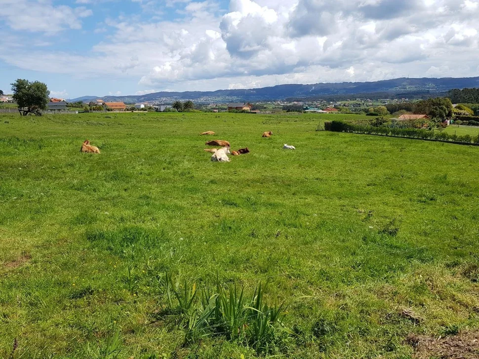 Se vende finca rústica en meirás, valdoviño