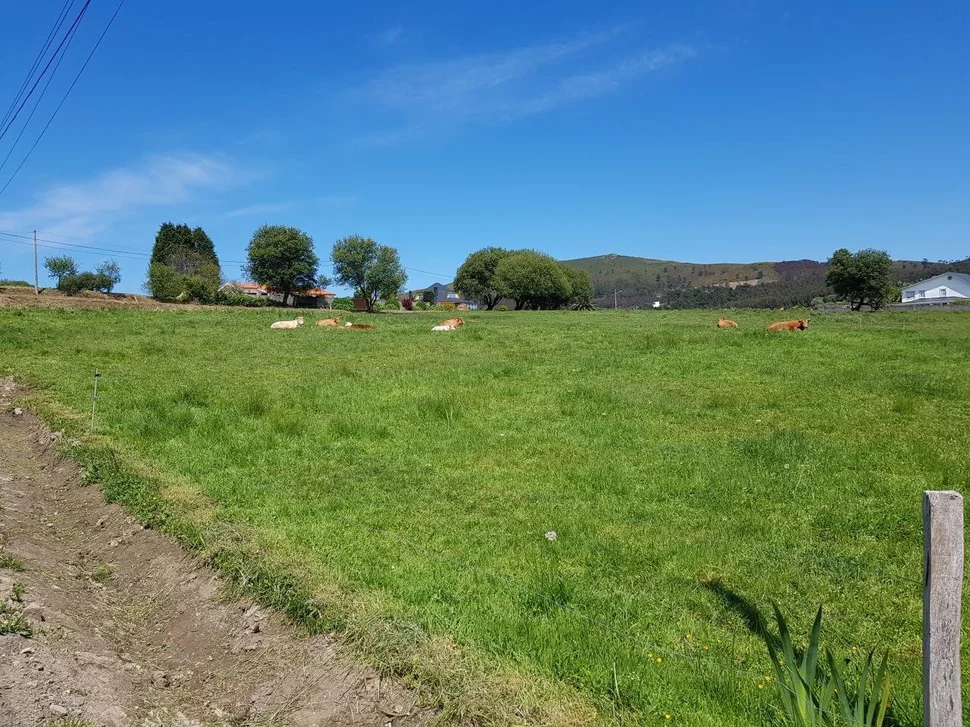 Se vende finca rústica en meirás, valdoviño