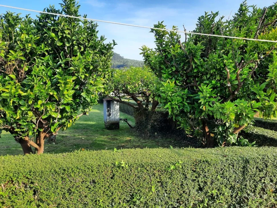 Magnífica vivienda unifamiliar en finca de buen tamaño en sedes, narón