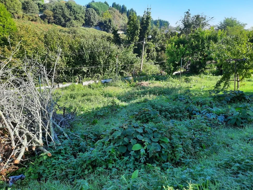 Casa con finca de 1500m en la cabana, ferrol