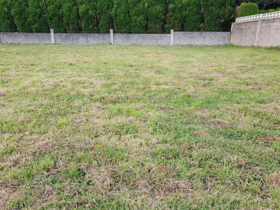 Finca edificable en presa del rey, narón