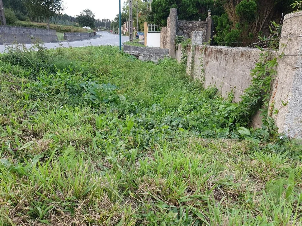 Finca edificable en presa del rey, narón